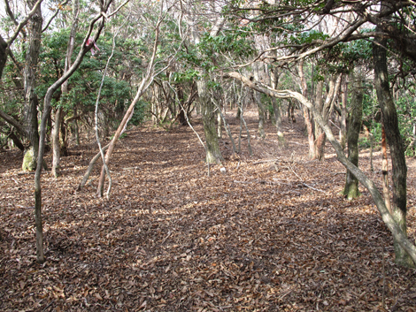20131124hike (367)